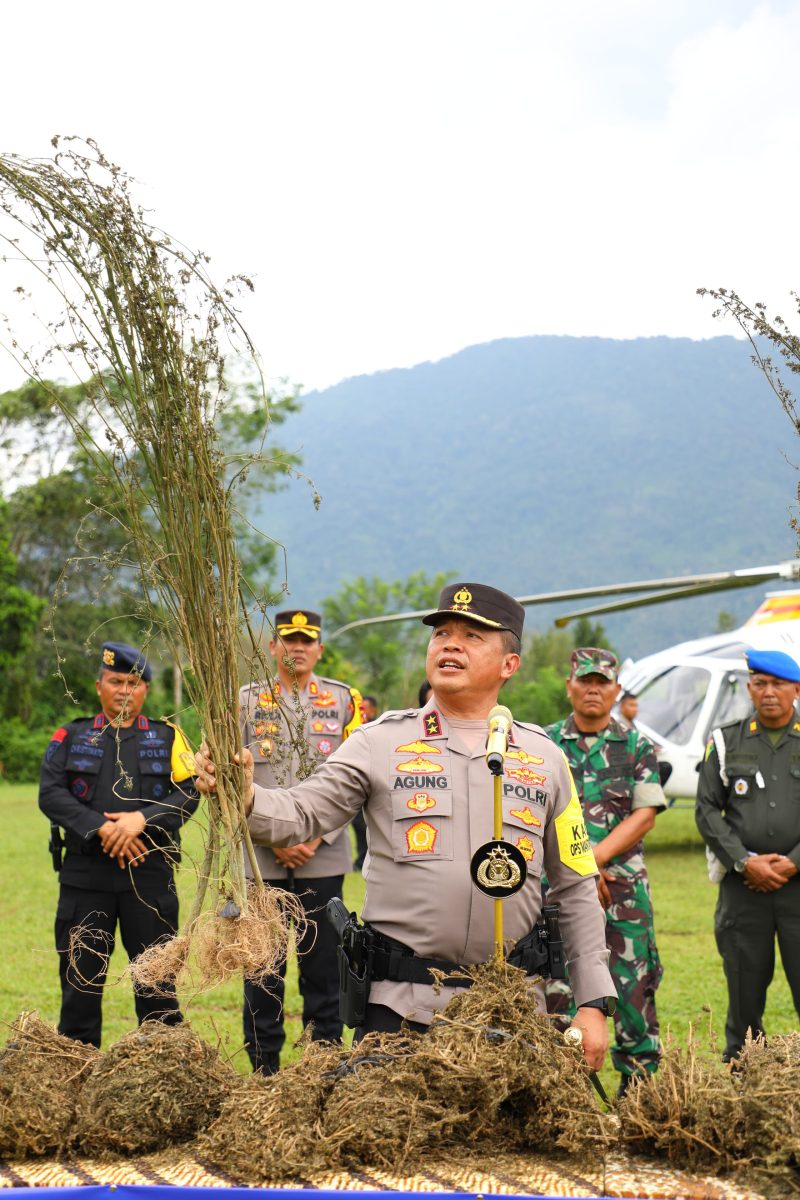 Kapolda Sumut,Irjen Pol Agung Setya Imam Effendi, dalam Pemusnahan Barang Bukti di  Mandailing Natal, Minggu (12/11/2023). (Foto : Mega News)