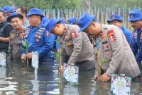 Kabarhakam Polri Komjen Pol, M. Fadil Imran memimpin kegiatan bakti sosial (baksos) bersih-bersih dan menanam 2000 bibit mangrove di Pantai Tanjung Pasir, Kecamatan Teluknaga, Kabupaten Tangerang, Sabtu (25/11/2023) (Foto : Humas PMJ)