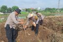 Kapolsek Metro Tanah Abang AKBP Aditya S.P Sembiring M, Sik melakukan penanaman Jagung di Bantaran Kali Ciliwung Jalan Tenaga Listrik RW 16 Kelurahan Kebon Melati Kecamatan Tanah Abang Jakarta Pusat. Minggu (22/12/2024).