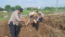 Kapolsek Metro Tanah Abang AKBP Aditya S.P Sembiring M, Sik melakukan penanaman Jagung di Bantaran Kali Ciliwung Jalan Tenaga Listrik RW 16 Kelurahan Kebon Melati Kecamatan Tanah Abang Jakarta Pusat. Minggu (22/12/2024).