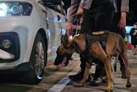 Anjing pelacak (K9)  memiliki penciuman yang super. Ia mampu mengendus aroma barang ilegal seperti narkoba atau bahan peledak yang disembunyikan rapat-rapat bahkan di tempat sulit sekalipun.