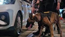 Anjing pelacak (K9)  memiliki penciuman yang super. Ia mampu mengendus aroma barang ilegal seperti narkoba atau bahan peledak yang disembunyikan rapat-rapat bahkan di tempat sulit sekalipun.