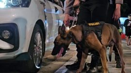 Anjing pelacak (K9)  memiliki penciuman yang super. Ia mampu mengendus aroma barang ilegal seperti narkoba atau bahan peledak yang disembunyikan rapat-rapat bahkan di tempat sulit sekalipun.