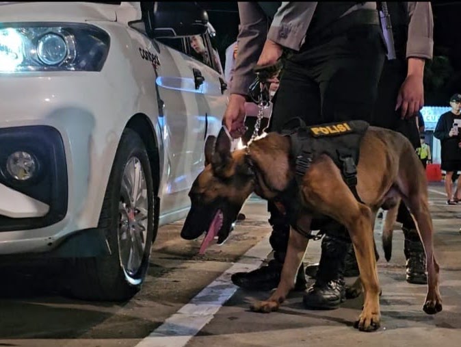 Anjing pelacak (K9)  memiliki penciuman yang super. Ia mampu mengendus aroma barang ilegal seperti narkoba atau bahan peledak yang disembunyikan rapat-rapat bahkan di tempat sulit sekalipun.