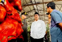 Menteri Pertanian Andi Amran Sulaiman (istimewa)