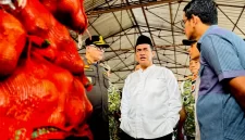 Menteri Pertanian Andi Amran Sulaiman (istimewa)