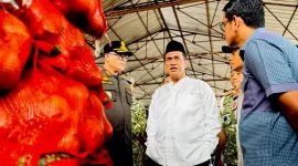 Menteri Pertanian Andi Amran Sulaiman (istimewa)