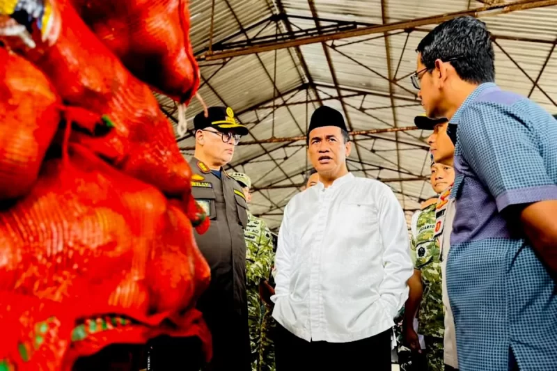Menteri Pertanian Andi Amran Sulaiman (istimewa)