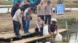 Wakapolda Metro Jaya Brigjen Pol Dekananto Eko Purwono didampingi Kapolres Metro Bekasi, Dirpolairud, Irwasda Polda Metro Jaya, serta H. Zaini Sidi selaku pemilik lahan yang bekerja sama dalam program ketahanan pangan tebar ribuan benih ikan di tambak Muara Gembong, Kabupaten Bekasi, Sabtu (18/4/2026). (Humas PMJ)