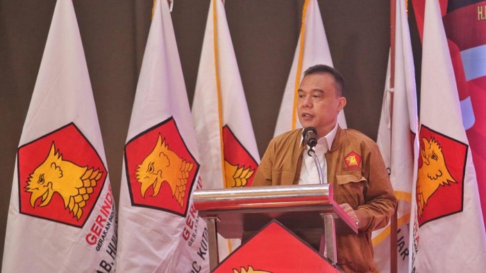 Ketua Harian DPP Partai Gerindra, Sufmi Dasco Ahmad (Foto: Istimewa)
